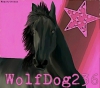 WolfDog236 - Horzer horse breeder 