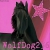 WolfDog236
