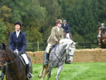 Cortini (mitte) - Male Hanoverian Horse (6 years)