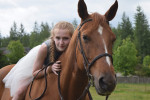 Terry - Quarter Horse (13 years)